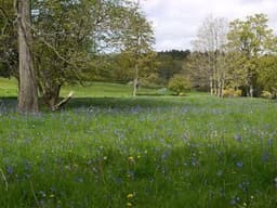 Walkmill Campsite campsite