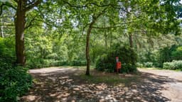Graffham Camping and Caravanning Club Site campsite